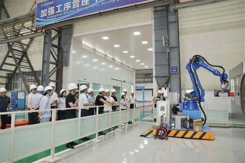 税引擎驱动新质生产力加速形成 数字技术服务在四川的基层实践